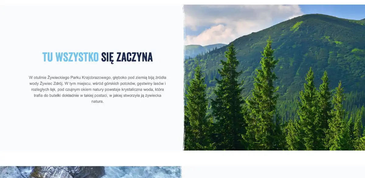 Żywiec Zdrój website